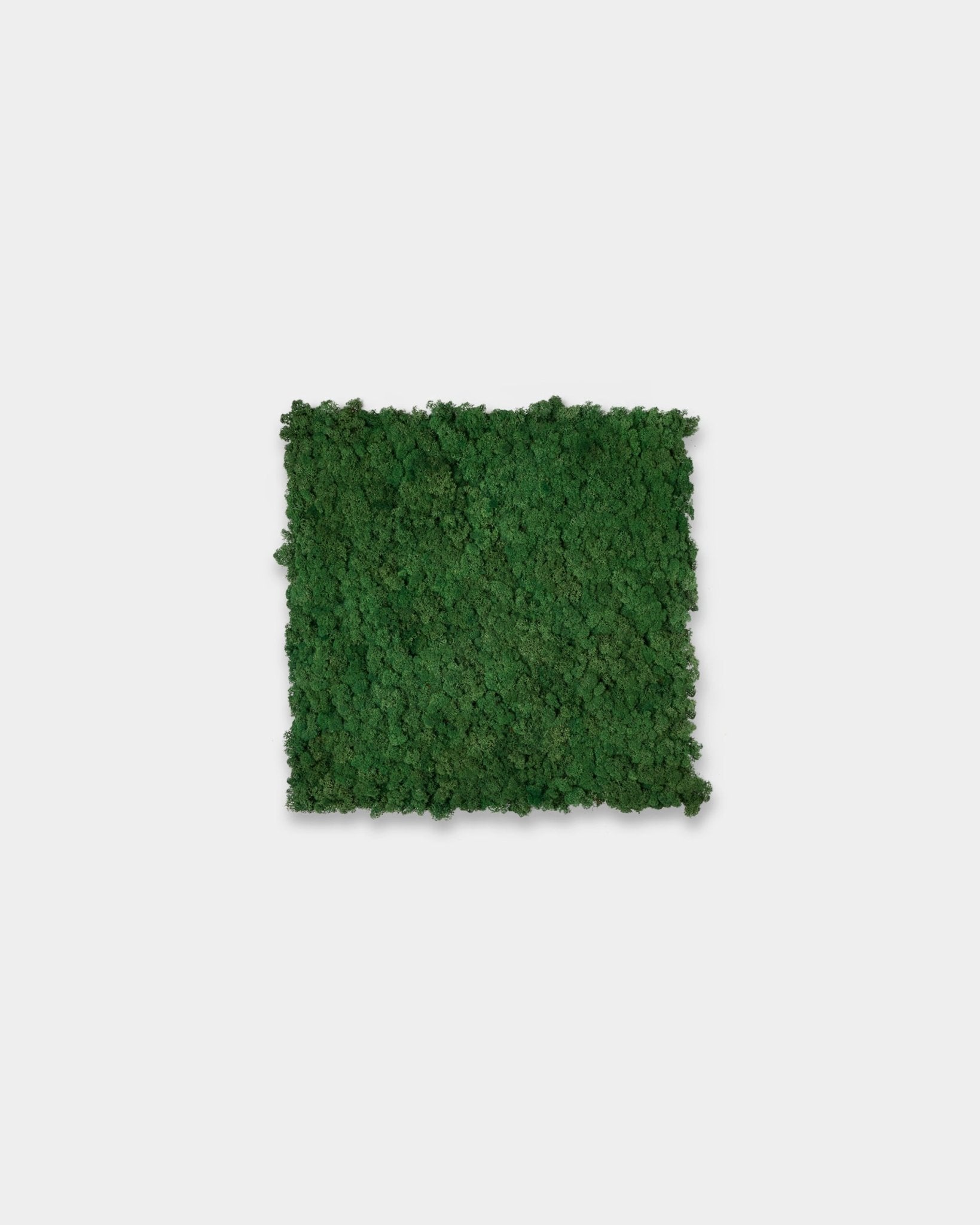 WoodUpp Akupixel Akoestisch paneel in Moss Green (60x60 cm), met een vierkant oppervlak met textuur tegen een strakke witte achtergrond.