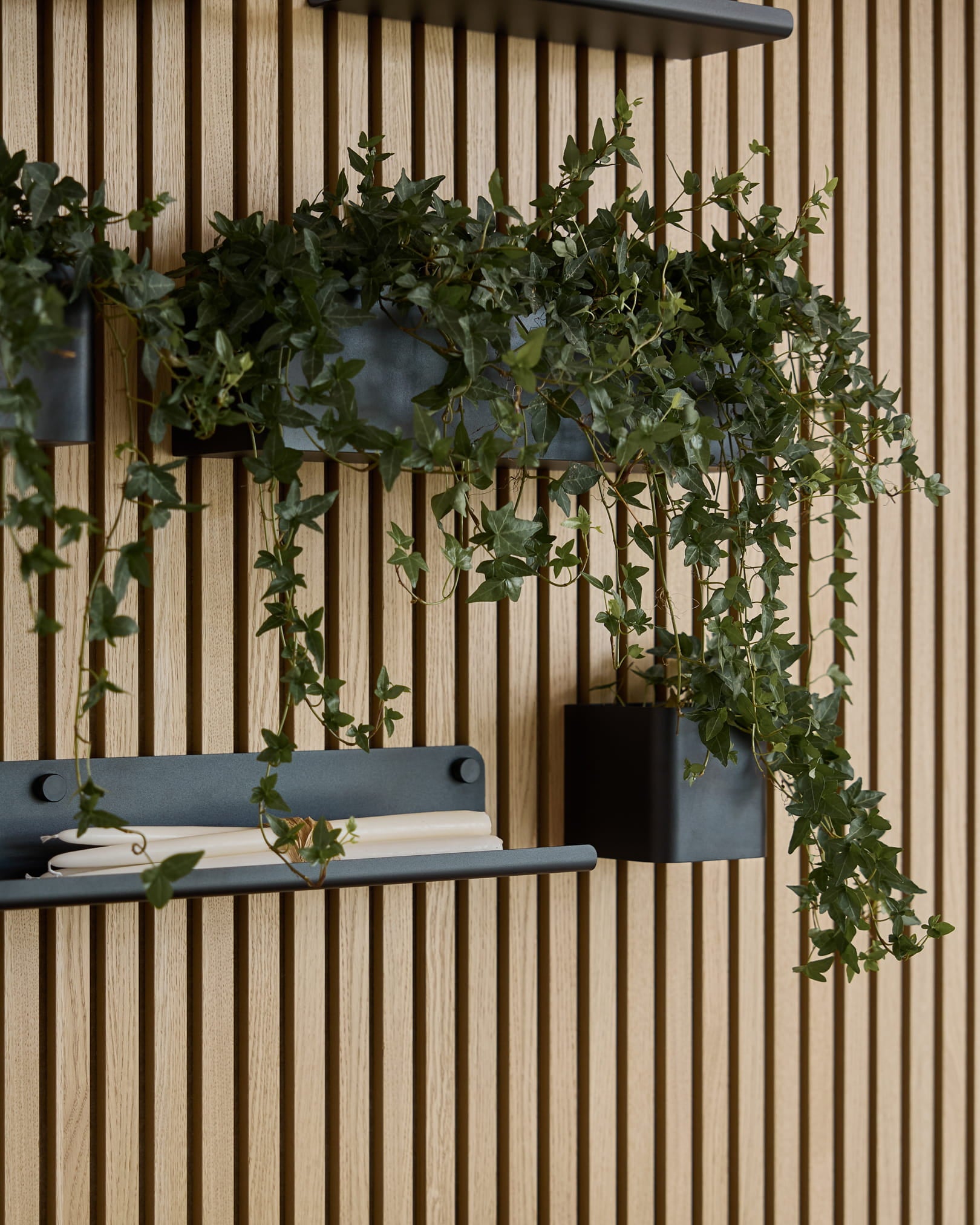 Du lierre vert retombant dans une boîte à plantes WoodUpp black Norr (47,9 cm), fixée sur un panneau mural à lattes WoodUpp Akupanel au-dessus d’une étagère avec une serviette blanche roulée.