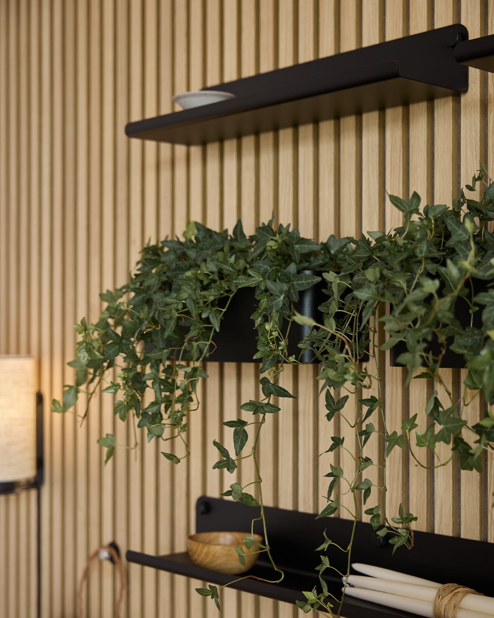 Vertical Akupanel akoestische houten lattenwand met black planken, minimalistische decoratie, groen en een black WoodUpp Norr Plant Box (35,9 cm).