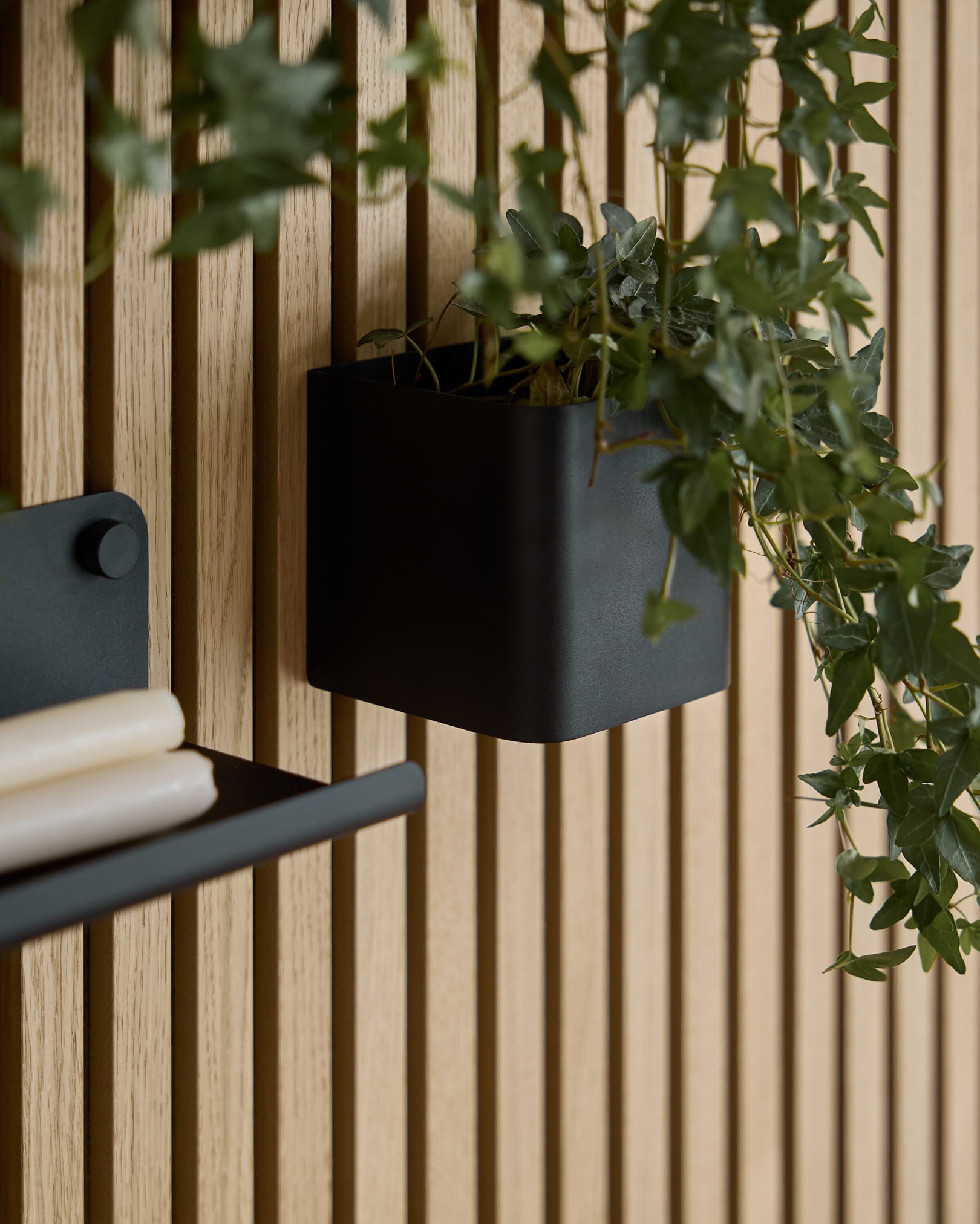 Une Plant Box WoodUpp Norr de 11,9 cm black avec du lierre vert est suspendue à un Panneau acoustique en bois clair Akupanel ; une partie d’une étagère assortie avec des rouleaux de papier est visible.