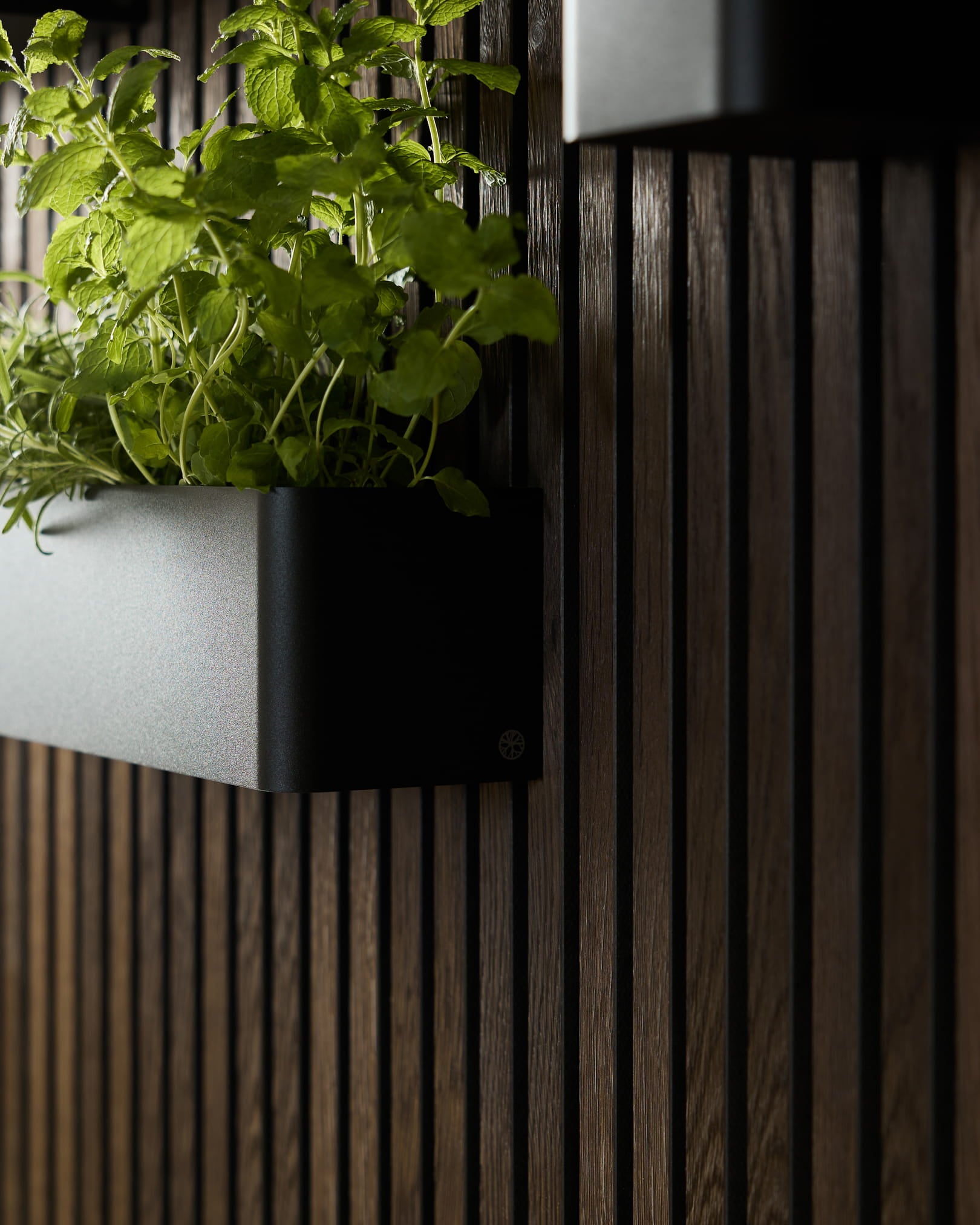 Black WoodUpp Norr Plant Box (47,9 cm) gemaakt van roestvrij steel, ontworpen voor groene wanden gemonteerd op donkere akoestische houten lattenpanelen.