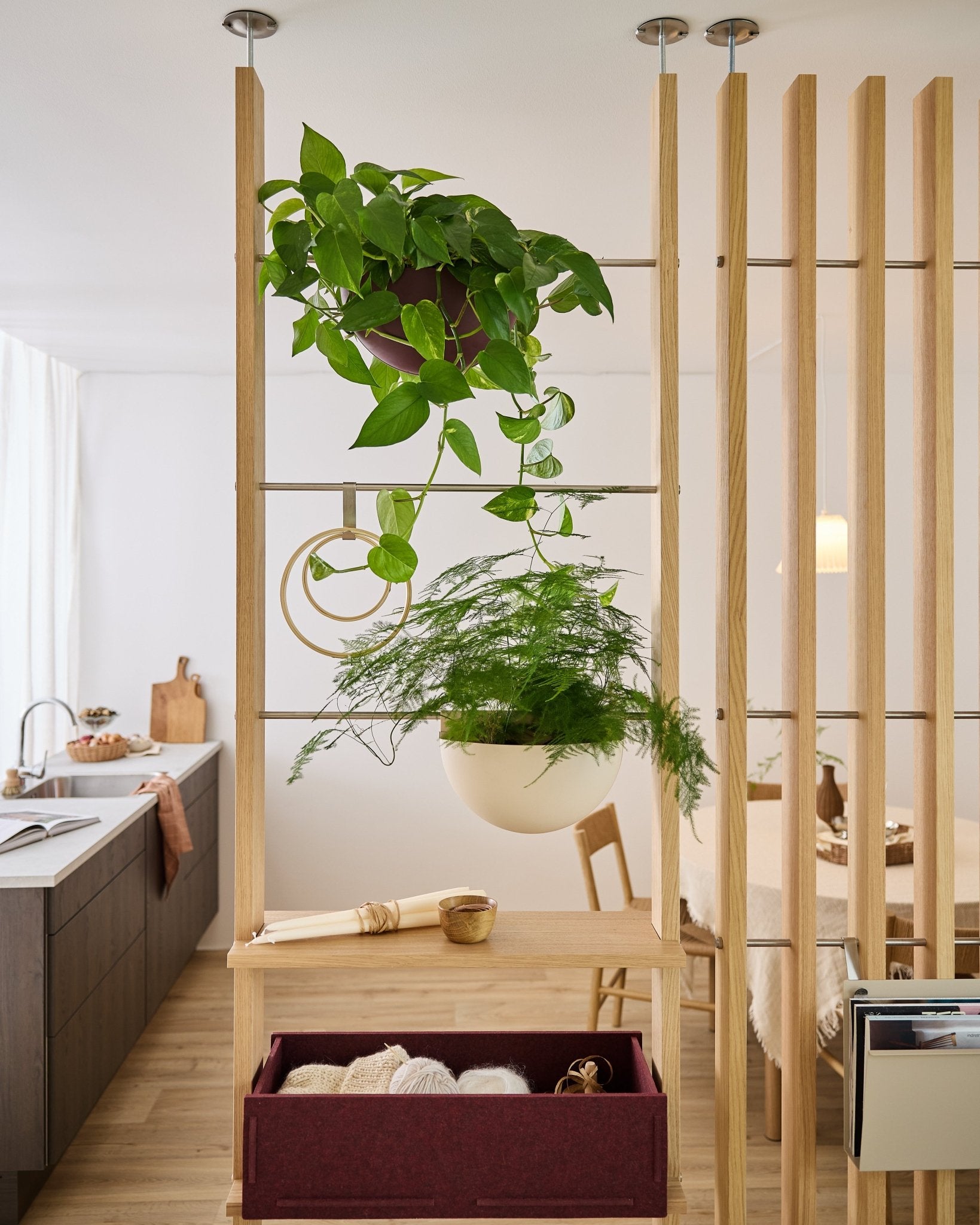 La cloison de séparation WoodUpp Gro Soft Pocket, accompagnée dun meuble BM2 de couleur Ox Red et de deux plantes suspendues, sépare la cuisine de la salle à manger dans un appartement lumineux et moderne.