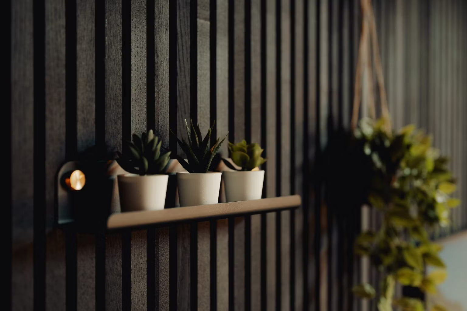 Trois petites plantes succulentes en pot sur une étagère flottante montée sur un mur en panneaux de bois acoustique Akupanel de style nordique foncé, avec de la verdure floue suspendue en arrière-plan.
